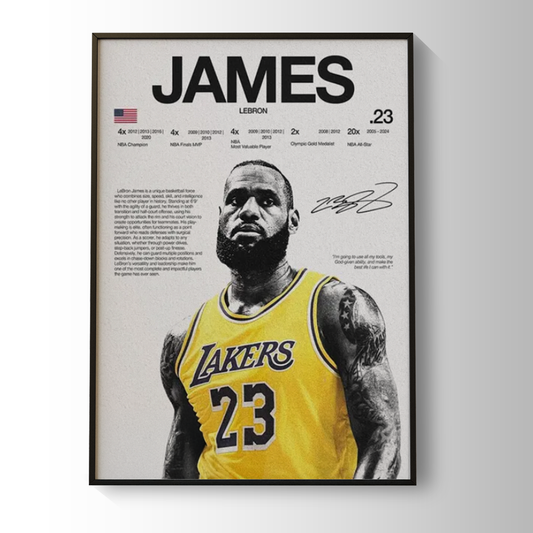 Lebron James | NBA Stats