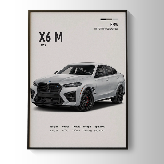 BMW X6M